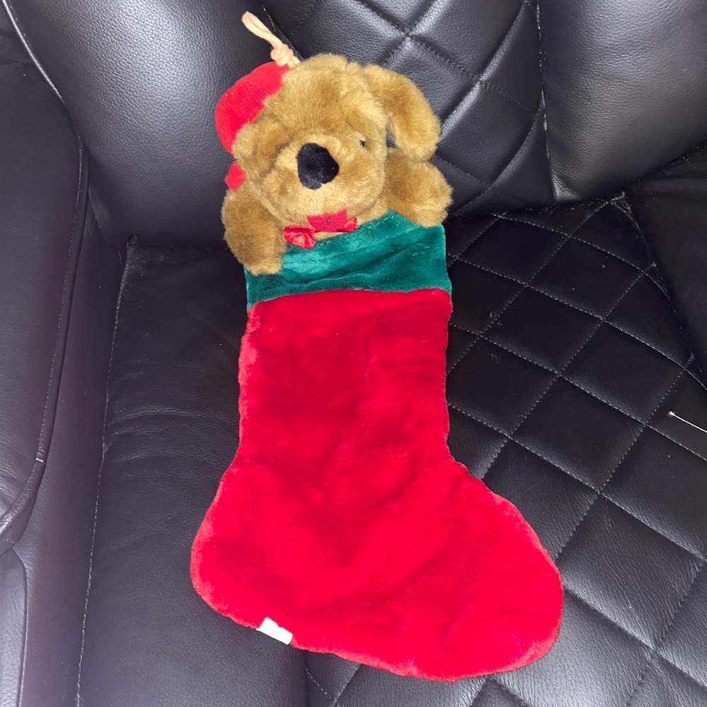 Dog stocking